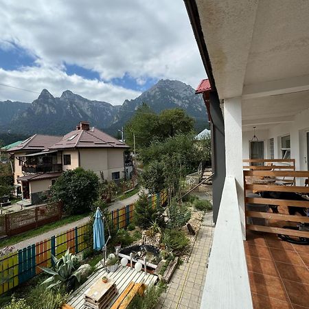 Casa David Hotel Buşteni Eksteriør billede