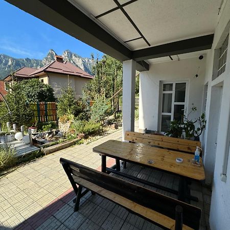 Casa David Hotel Buşteni Eksteriør billede