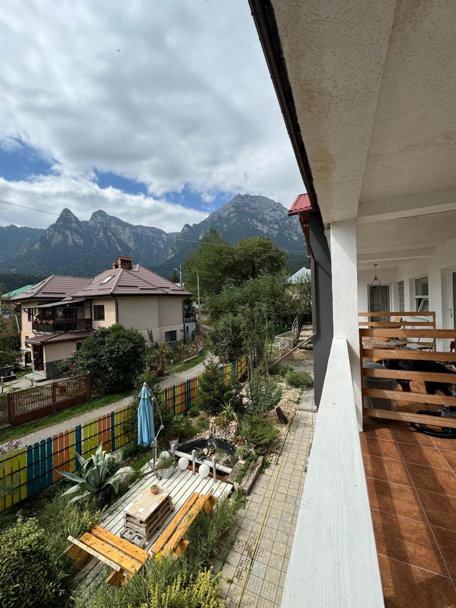 Casa David Hotel Buşteni Eksteriør billede