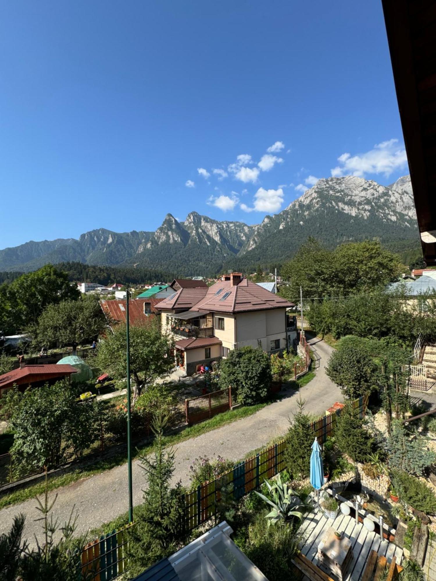 Casa David Hotel Buşteni Eksteriør billede
