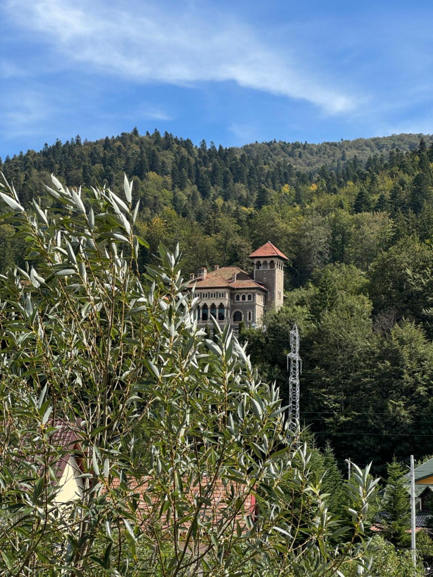Casa David Hotel Buşteni Eksteriør billede