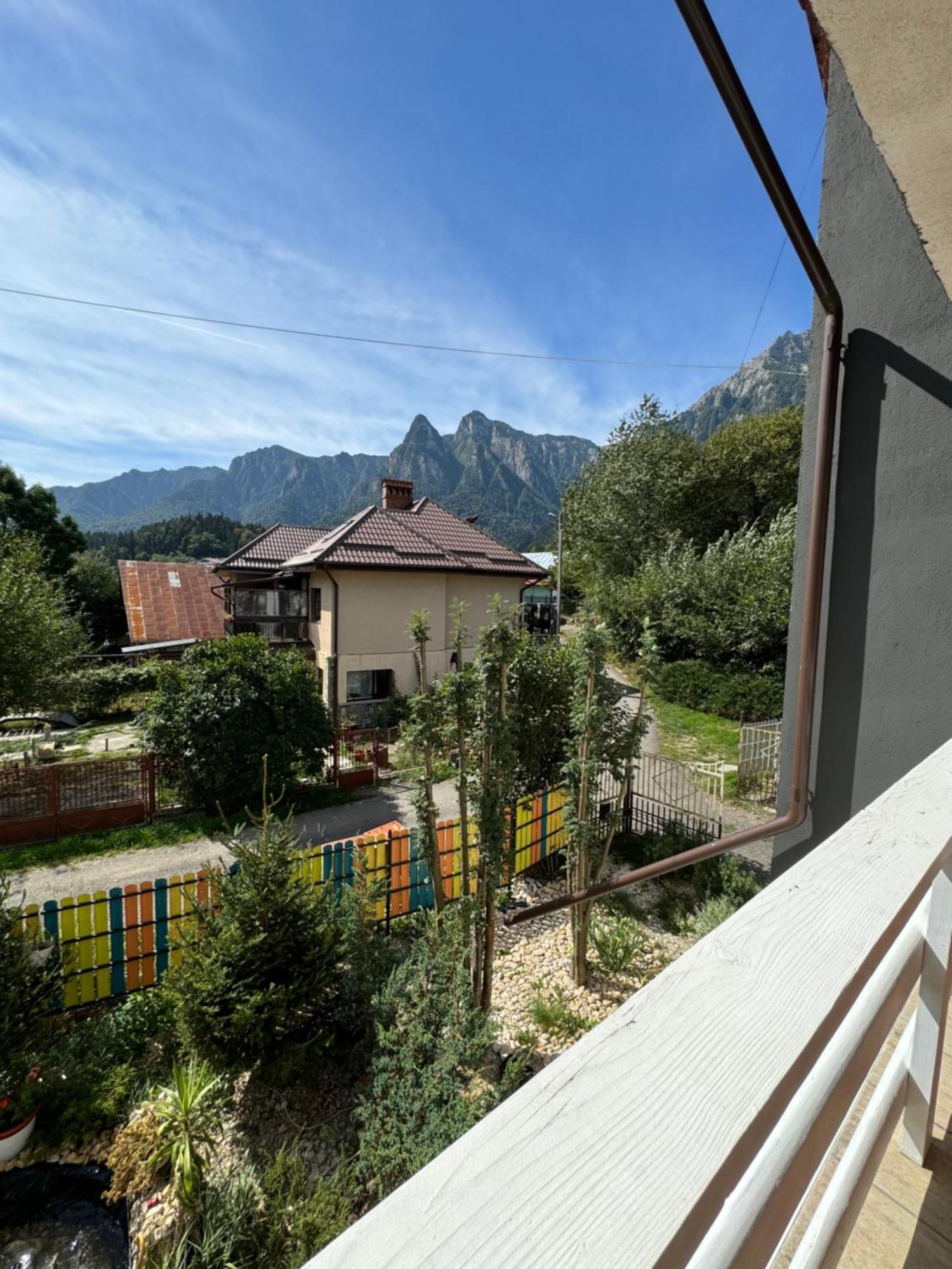 Casa David Hotel Buşteni Eksteriør billede