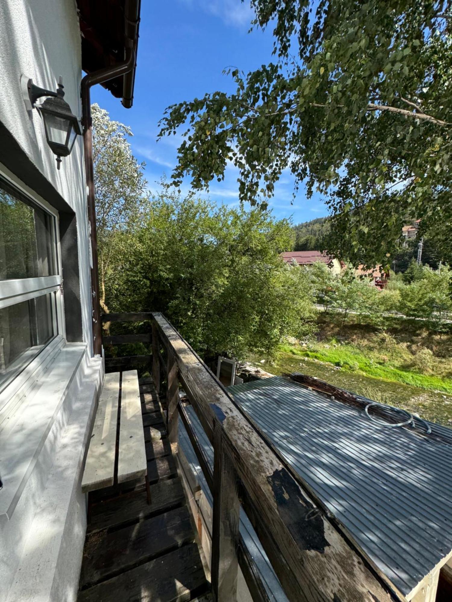 Casa David Hotel Buşteni Eksteriør billede
