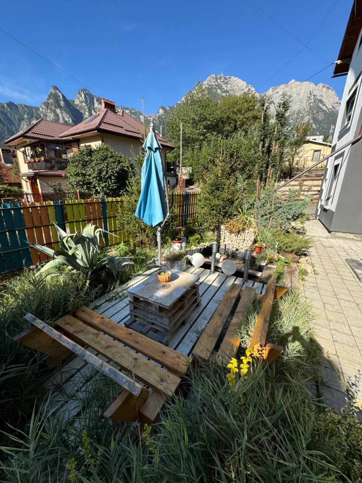 Casa David Hotel Buşteni Eksteriør billede