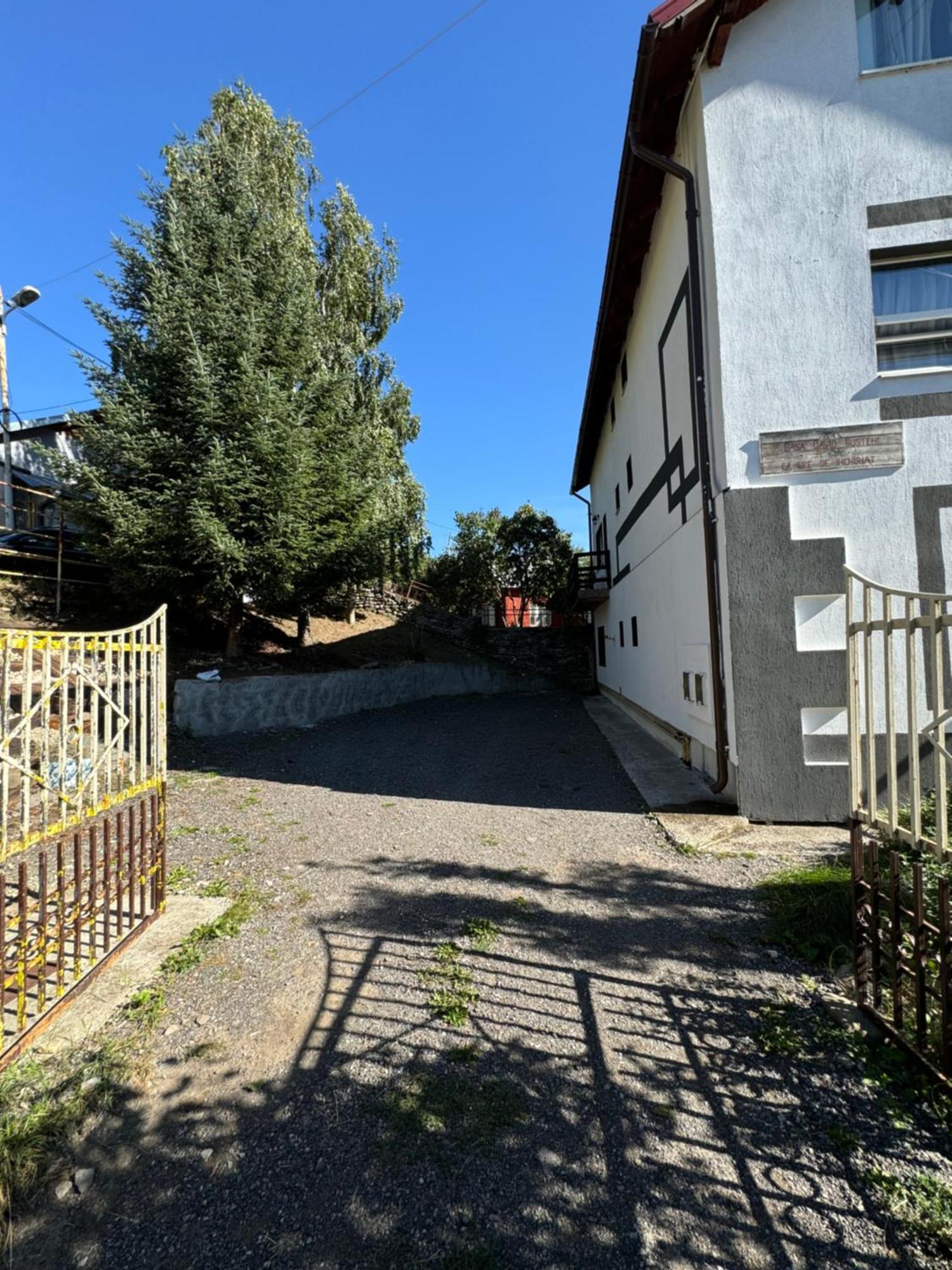 Casa David Hotel Buşteni Eksteriør billede